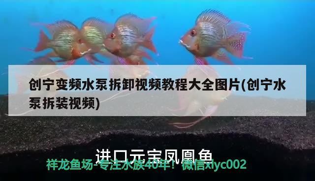 創寧變頻水泵拆卸視頻教程大全圖片(創寧水泵拆裝視頻)