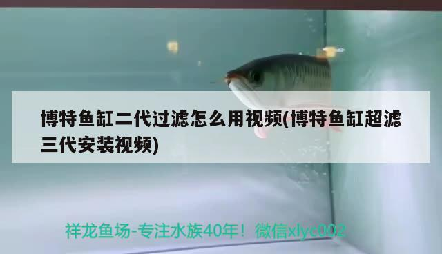 博特魚缸二代過濾怎么用視頻(博特魚缸超濾三代安裝視頻)