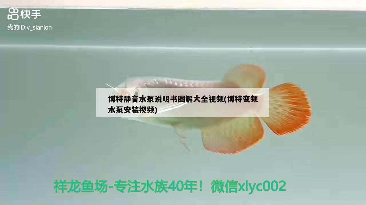 博特靜音水泵說明書圖解大全視頻(博特變頻水泵安裝視頻)