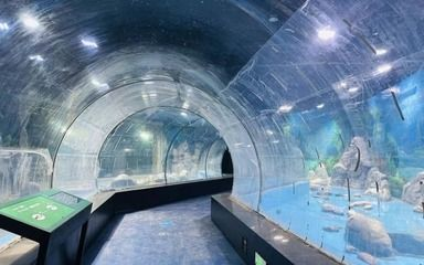 常州龍魚vs祥龍魚場（常州龍魚與祥龍魚場之間的區別）