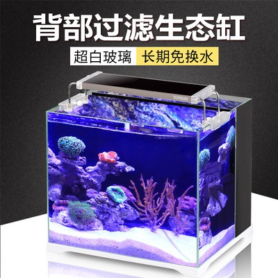 博特二代魚缸圖片（博特二代魚缸圖片大全）
