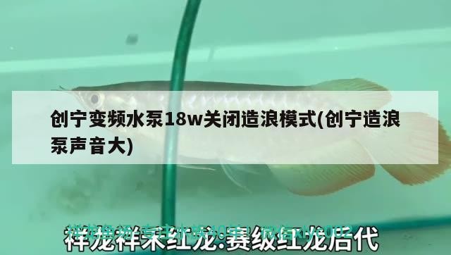 創(chuàng)寧變頻水泵18w關(guān)閉造浪模式(創(chuàng)寧造浪泵聲音大)