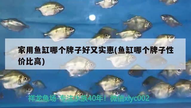 家用魚(yú)缸哪個(gè)牌子好又實(shí)惠(魚(yú)缸哪個(gè)牌子性價(jià)比高)
