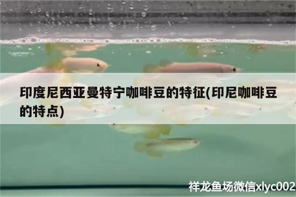 印度尼西亞曼特寧咖啡豆的特征(印尼咖啡豆的特點) 印度尼西亞曼特寧咖啡豆的特征(印尼咖啡豆的特點) 馬來西亞咖啡