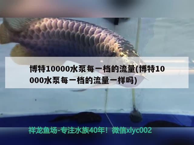 博特10000水泵每一檔的流量(博特10000水泵每一檔的流量一樣嗎) 博特10000水泵每一檔的流量(博特10000水泵每一檔的流量一樣嗎) 博特水族