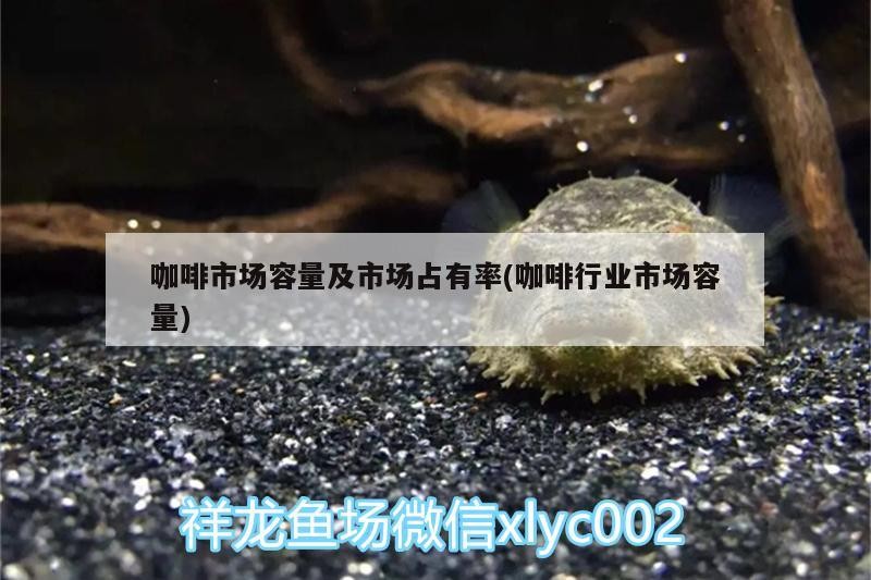 咖啡市場容量及市場占有率(咖啡行業市場容量)