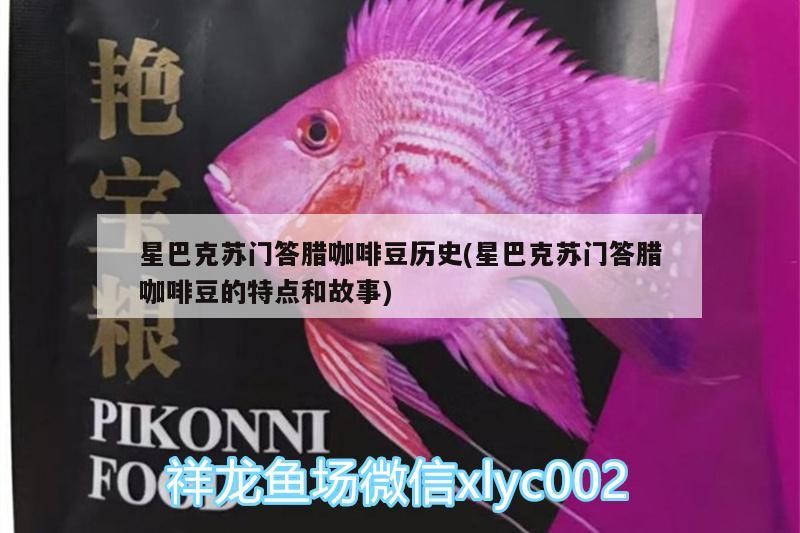 魚缸過濾器選購指南:自制魚缸過濾器魚缸上置過濾器對于養魚愛好者的必備知識 星巴克蘇門答臘咖啡豆歷史(星巴克蘇門答臘咖啡豆的特點和故事) 馬來西亞咖啡 星巴克蘇門答臘咖啡豆歷史(星巴克蘇門答臘咖啡豆的特點和故事) 星巴克蘇門答臘咖啡豆歷史(星巴克蘇門答臘咖啡豆的特點和故事) 馬來西亞咖啡