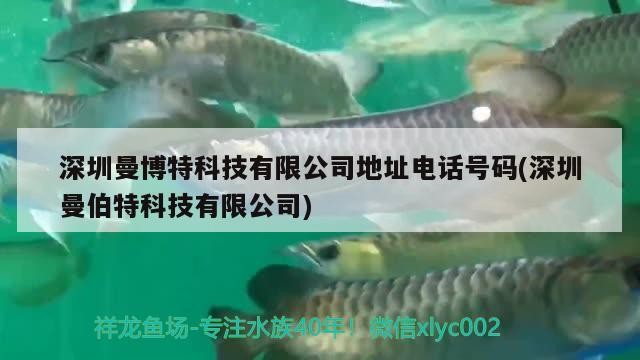 深圳曼博特科技有限公司地址電話號碼(深圳曼伯特科技有限公司)