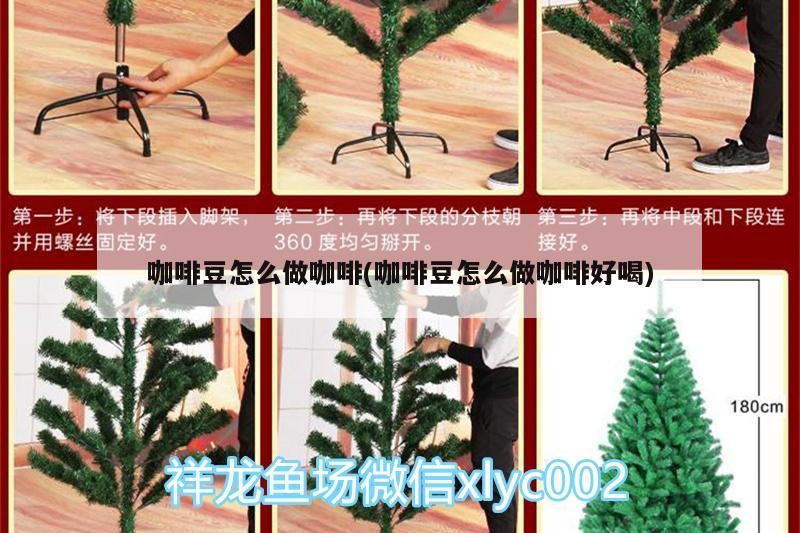 咖啡豆怎么做咖啡(咖啡豆怎么做咖啡好喝) 咖啡豆怎么做咖啡(咖啡豆怎么做咖啡好喝) 馬來西亞咖啡