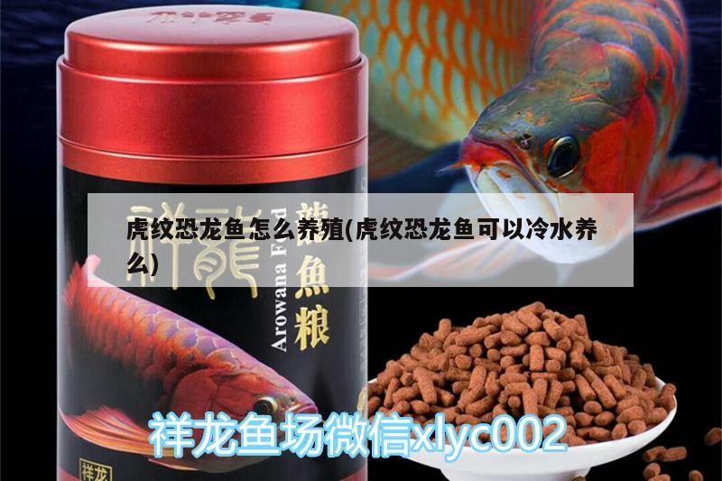 河池水族批發市場地址在哪里呀（河池市海鮮批發市場） 河池水族批發市場地址在哪里呀（河池市海鮮批發市場） 金龍魚百科 第2張