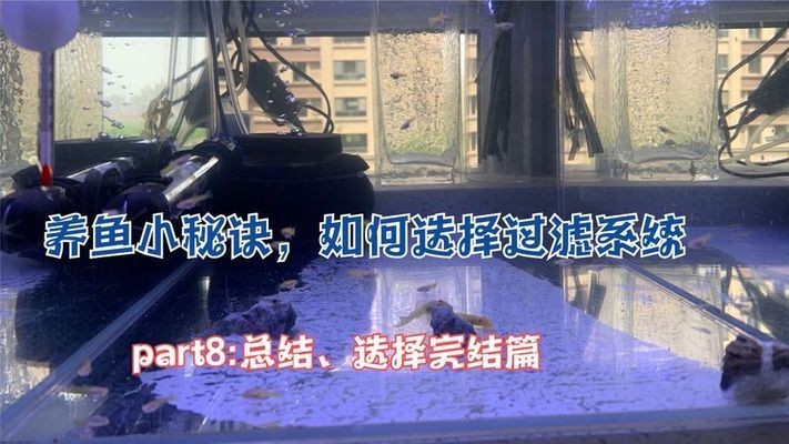魟魚過濾系統(tǒng)選擇指南：[需手動(dòng)填充]魚過濾系統(tǒng)的選擇