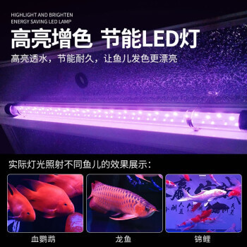 昆山魚缸定制哪家好一點的(昆明魚缸定制哪家好)