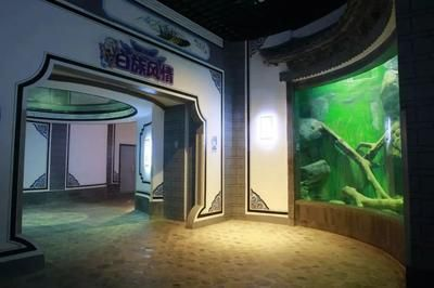 麗江水族館vs祥龍魚場（麗江水族館與祥龍魚場有什么區別？） 麗江水族館vs祥龍魚場（麗江水族館與祥龍魚場有什么區別？） 全國水族館企業名錄 第3張