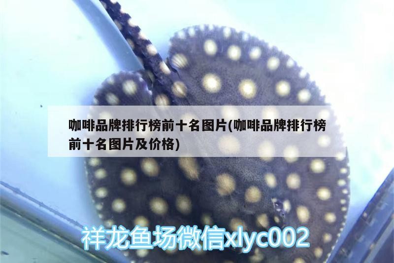 咖啡品牌排行榜前十名圖片(咖啡品牌排行榜前十名圖片及價格)