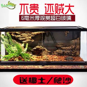 倉鼠魚缸造景圖：倉鼠魚缸造景的創(chuàng)意設(shè)計(jì) 倉鼠魚缸造景圖：倉鼠魚缸造景的創(chuàng)意設(shè)計(jì) 魚缸百科 第1張