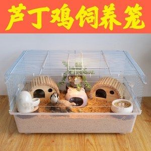 倉鼠魚缸造景圖：倉鼠魚缸造景的創(chuàng)意設(shè)計(jì) 倉鼠魚缸造景圖：倉鼠魚缸造景的創(chuàng)意設(shè)計(jì) 魚缸百科 第3張