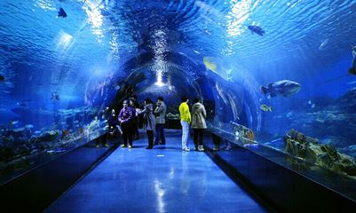 益陽(yáng)水族館vs祥龍魚場(chǎng)（益陽(yáng)水族館與祥龍魚場(chǎng)的區(qū)別）