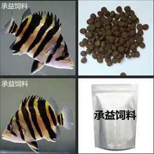 15厘米虎魚一天喂幾次飼料：15厘米的虎魚一天喂幾次飼料