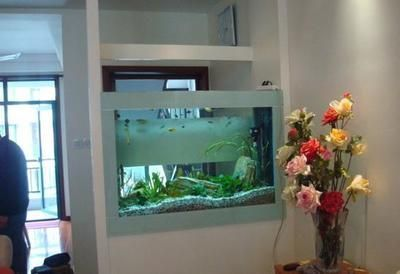鏡湖區(qū)一九八四水族館 鏡湖區(qū)一九八四水族館 全國(guó)水族館企業(yè)名錄 第1張