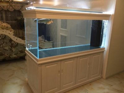 半圓型魚缸安裝視頻：半圓型魚缸的安裝視頻