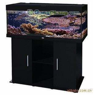 超白魚缸和水族箱哪種更實用：超白魚缸與水族箱的區(qū)別 超白魚缸和水族箱哪種更實用：超白魚缸與水族箱的區(qū)別 魚缸百科 第1張