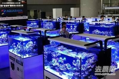 2024年廣州水族展會時間：2024年廣州國際水產養殖展漁博會2024年9月25日舉辦