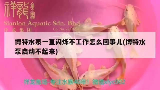 博特水泵一直閃爍不工作怎么回事兒(博特水泵啟動不起來)