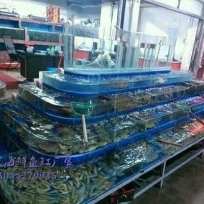 大型魚缸怎么做過濾：diy魚缸過濾系統的設計理念主要包括以下幾點：