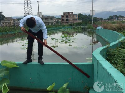 辦公室能放魚缸嗎 黨員：辦公室養(yǎng)魚的風(fēng)水禁忌