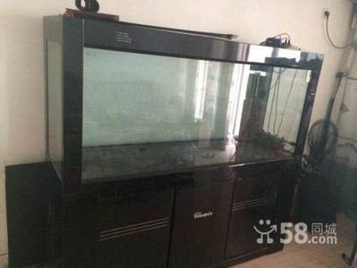 吉林吉林雅興緣花鳥魚交易中心志剛水族館（吉林市雅興緣花鳥魚市場）