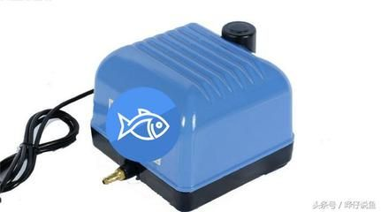 大魚缸增氧泵怎么用：如何判斷魚缸是否缺氧