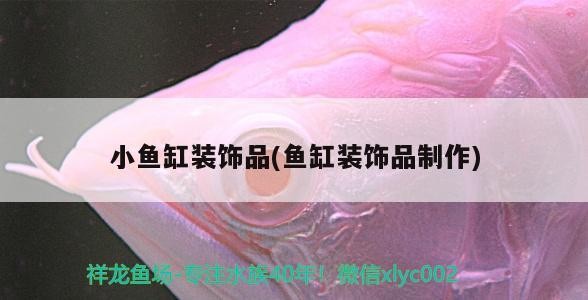 小魚缸裝飾品(魚缸裝飾品制作)