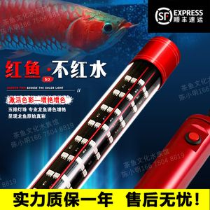 紅龍魚(yú)比賽用的神燈叫什么：紅龍魚(yú)比賽用的神燈叫什么詳情紅龍魚(yú)比賽用的神燈詳情