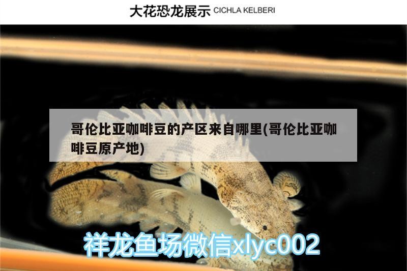哥倫比亞咖啡豆的產區來自哪里(哥倫比亞咖啡豆原產地) 哥倫比亞咖啡豆的產區來自哪里(哥倫比亞咖啡豆原產地) 馬來西亞咖啡