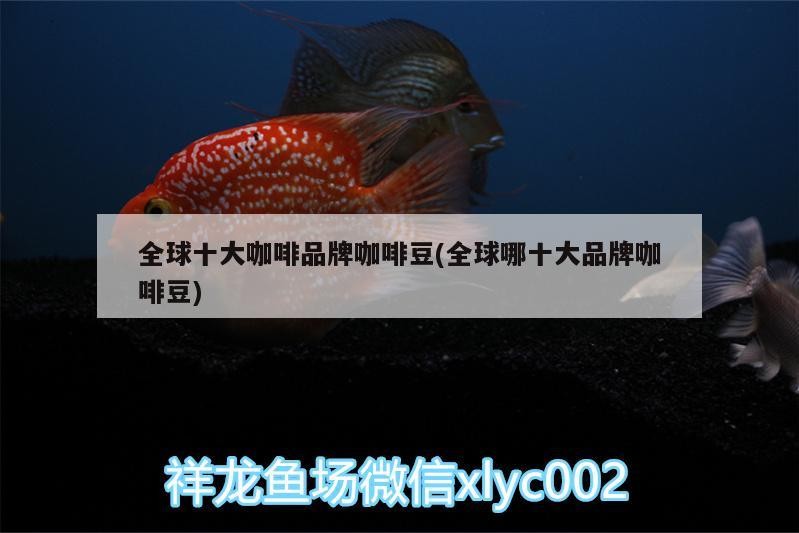 全球十大咖啡品牌咖啡豆(全球哪十大品牌咖啡豆) 全球十大咖啡品牌咖啡豆(全球哪十大品牌咖啡豆) 馬來西亞咖啡