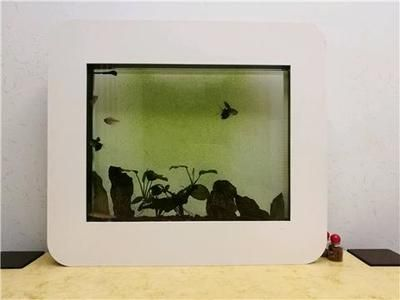 魚缸水泵維修常見故障及處理：魚缸水泵常見故障及處理方法