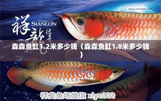 清道夫在魚缸里面亂游怎么辦（清道夫在魚缸里面亂游怎么辦呢）