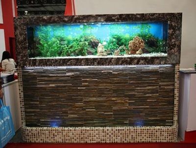 大型魚缸怎么運輸好：大型魚缸養護注意事項