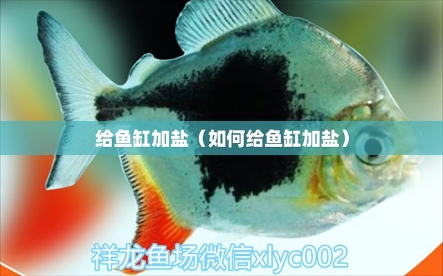 魚缸用增氧泵價格是多少:魚缸增氧機-xtrac增氧機-xtrac增氧機 博特水泵使用說明書圖解(博特水泵使用說明書圖解大全) 博特水族 博特水泵使用說明書圖解(博特水泵使用說明書圖解大全) 博特水泵使用說明書圖解(博特水泵使用說明書圖解大全) 博特水族