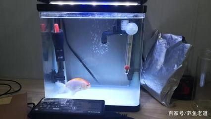但是魚的魚缸溫度在多少合適：家庭養魚的溫度管理技巧對于家庭養魚的愛好者來說是一個重要的研究方向