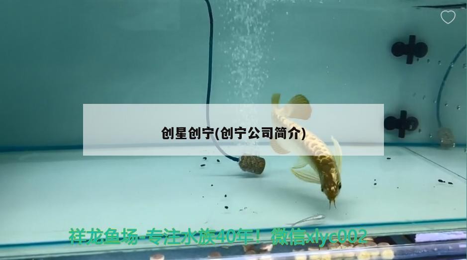 創(chuàng)星創(chuàng)寧(創(chuàng)寧公司簡介)
