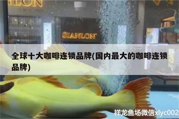 全球十大咖啡連鎖品牌(國內最大的咖啡連鎖品牌)