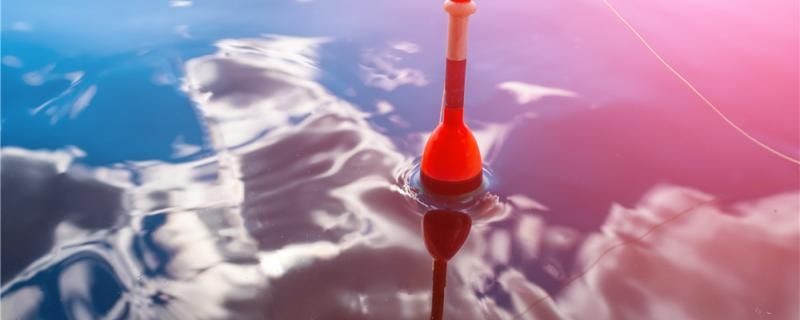 釣魚浮漂吃鉛多少合適什么形狀的合適 釣魚浮漂吃鉛多少合適什么形狀的合適 馬來西亞咖啡