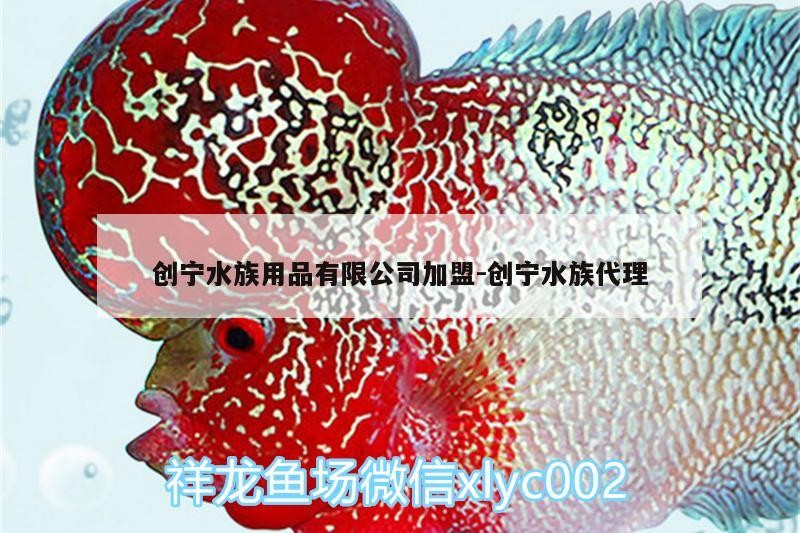創寧水族用品有限公司加盟:創寧水族代理