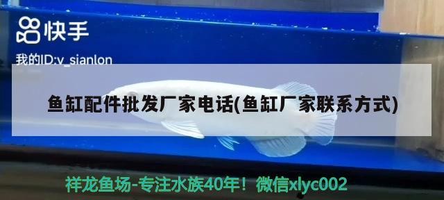 魚缸配件批發(fā)廠家電話(魚缸廠家聯(lián)系方式)