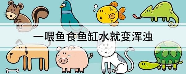 博特魚缸廠家聯(lián)系方式及電話（博特魚缸廠家聯(lián)系方式及電話號碼）