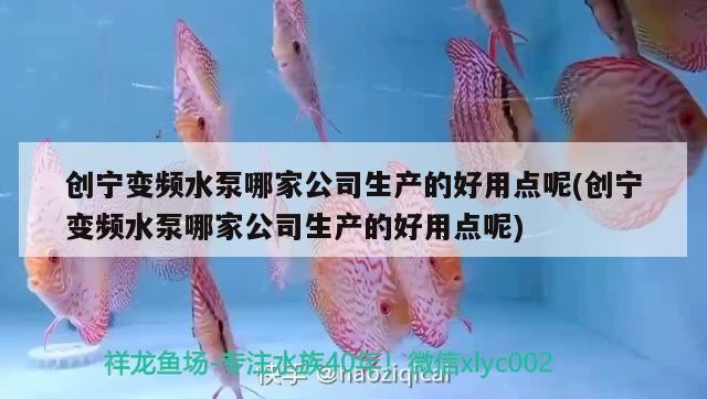 創(chuàng)寧變頻水泵哪家公司生產(chǎn)的好用點(diǎn)呢(創(chuàng)寧變頻水泵哪家公司生產(chǎn)的好用點(diǎn)呢)