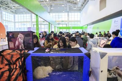 2024寵物水族博覽會：2018中國山東國際寵物水族用品博覽會概述
