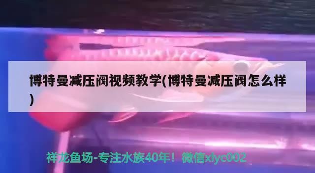 博特曼減壓閥視頻教學(xué)(博特曼減壓閥怎么樣)