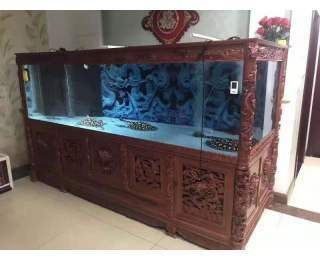 大型魚缸搬運(yùn)注意事項(xiàng)有哪些視頻：烏魯木齊魚缸搬運(yùn)前注意事項(xiàng)